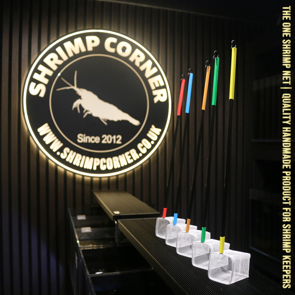 Professional 3D Shrimp Net with Plastic Handle & Hanging Hook
