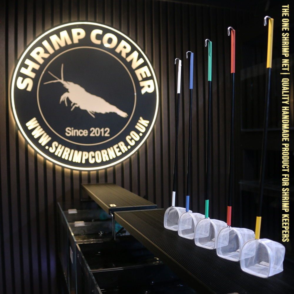 Professional 3D Shrimp Net with Plastic Handle & Hanging Hook