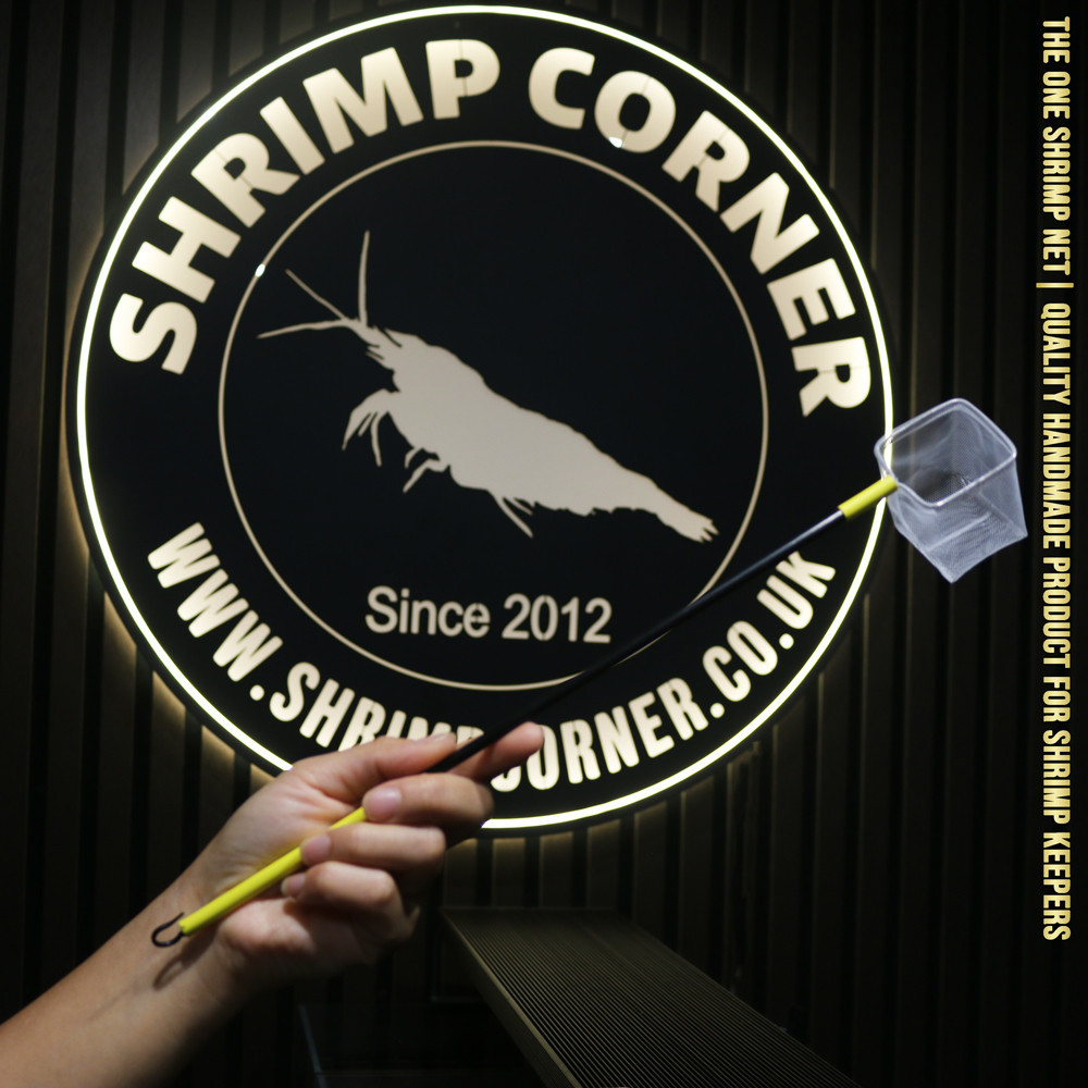 Professional 3D Shrimp Net with Plastic Handle & Hanging Hook