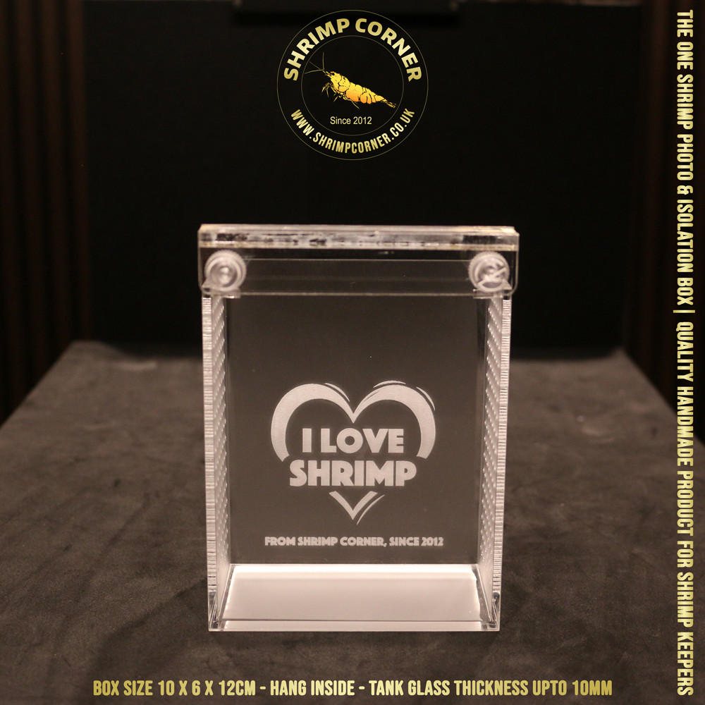 I LOVE SHRIMP™ Acrylic Shrimp Photo & Breeding Box | Box A