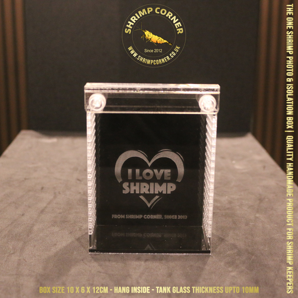 I LOVE SHRIMP™ Acrylic Shrimp Photo & Breeding Box | Box