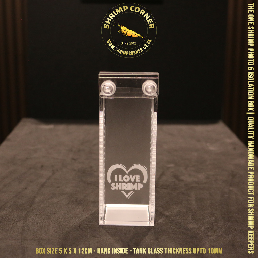 I LOVE SHRIMP™ Acrylic Shrimp Photo & Breeding Box | Box 2