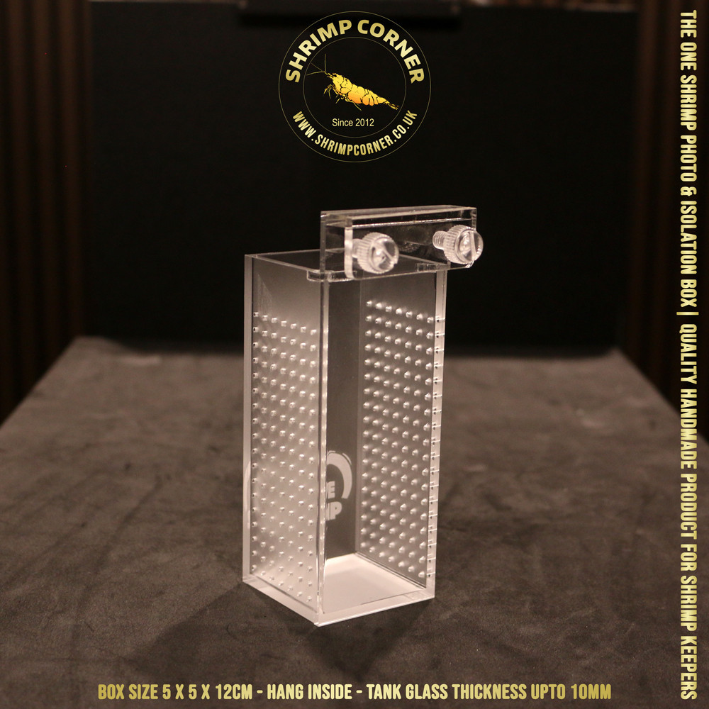 I LOVE SHRIMP™ Acrylic Shrimp Photo & Breeding Box | Box