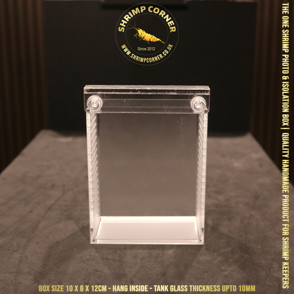 I LOVE SHRIMP™ | NO LOGO | Acrylic Shrimp Photo & Breeding Box | Box