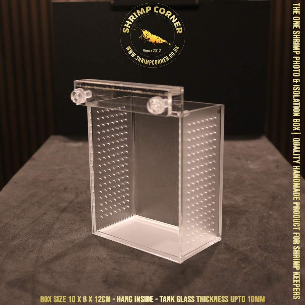 I LOVE SHRIMP™ | NO LOGO | Acrylic Shrimp Photo & Breeding Box | Box 2