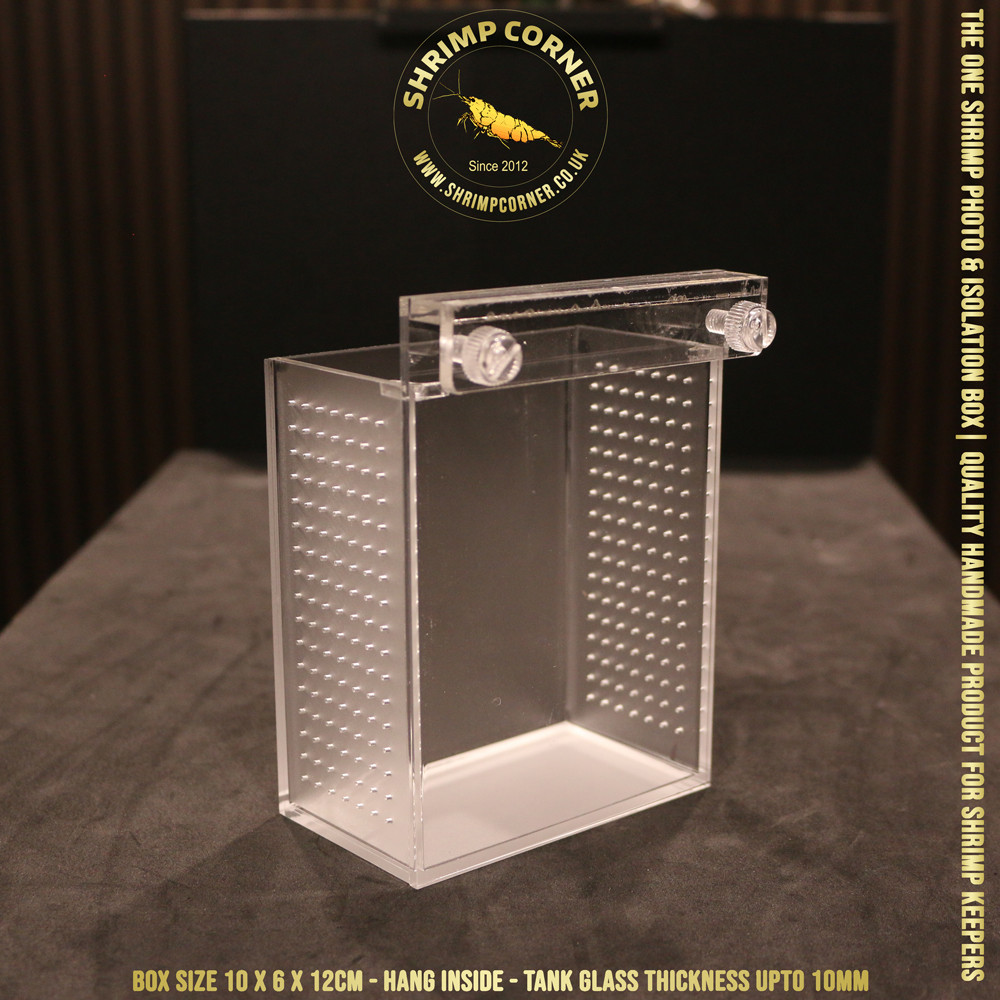 I LOVE SHRIMP™ | NO LOGO | Acrylic Shrimp Photo & Breeding Box | Box