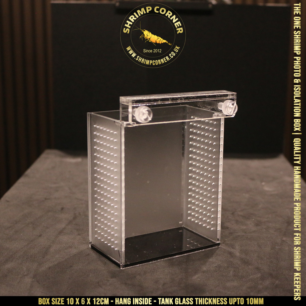 I LOVE SHRIMP™ | NO LOGO | Acrylic Shrimp Photo & Breeding Box | Box 2