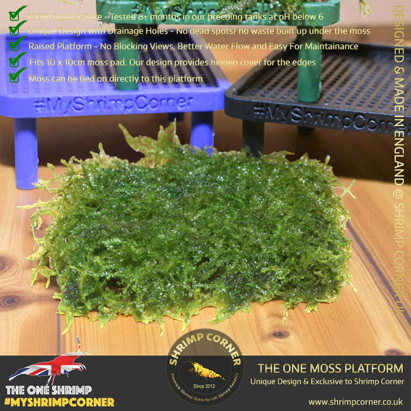 Exclusive Moss Raised Moss Platform - FREE Moss Pad