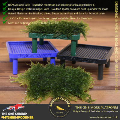 Exclusive Moss Raised Moss Platform - FREE Moss Pad