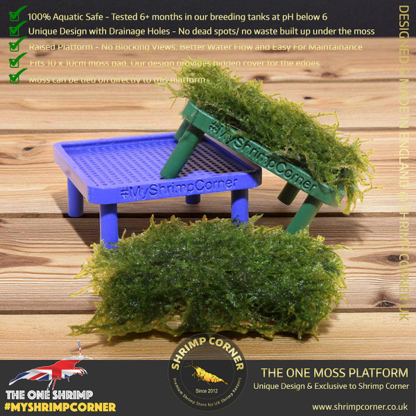 Exclusive Moss Raised Moss Platform - FREE Moss Pad