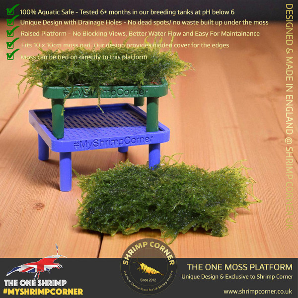 Exclusive Moss Raised Moss Platform - FREE Moss Pad