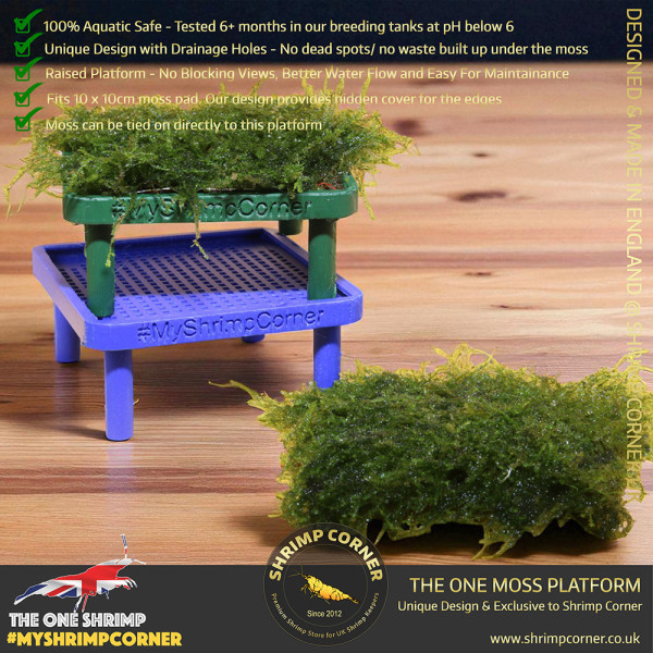 Exclusive Moss Raised Moss Platform - FREE Moss Pad