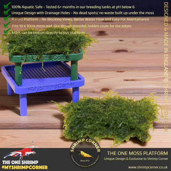 Exclusive Moss Raised Moss Platform - FREE Moss Pad