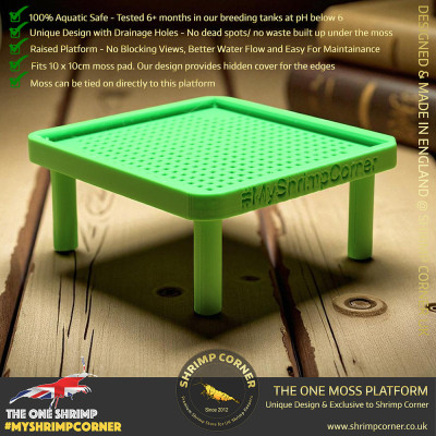 Exclusive Moss Raised Moss Platform - FREE Moss Pad