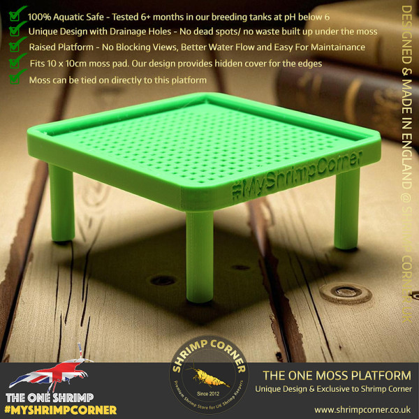 Exclusive Moss Raised Moss Platform - FREE Moss Pad