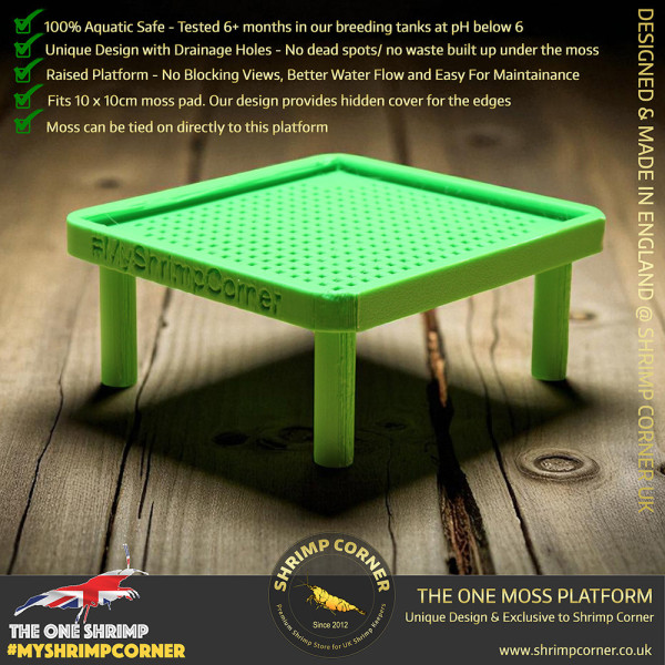 Exclusive Moss Raised Moss Platform - FREE Moss Pad