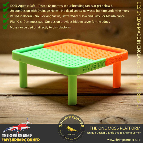 Exclusive Moss Raised Moss Platform - FREE Moss Pad