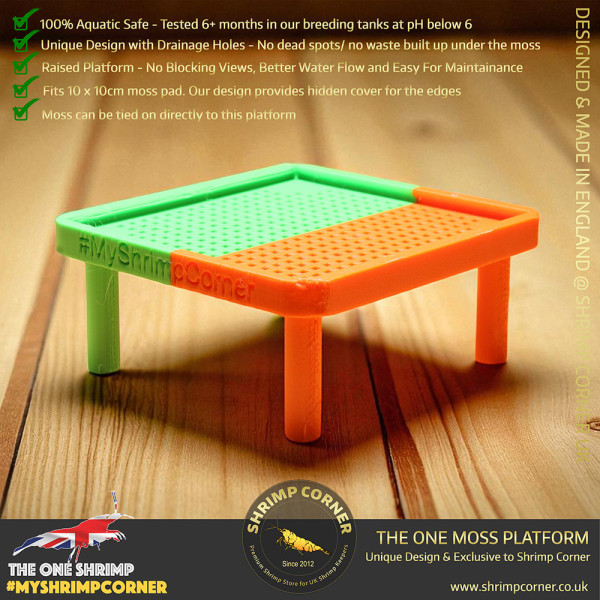 Exclusive Moss Raised Moss Platform - FREE Moss Pad