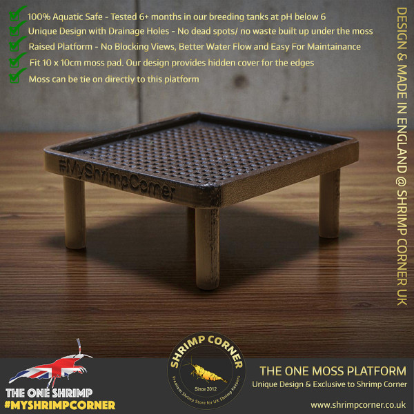 Exclusive Moss Raised Moss Platform - FREE Moss Pad
