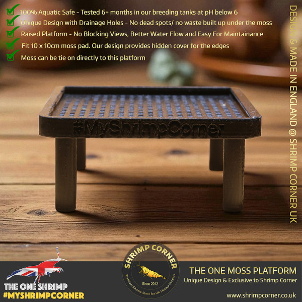 Exclusive Moss Raised Moss Platform - FREE Moss Pad