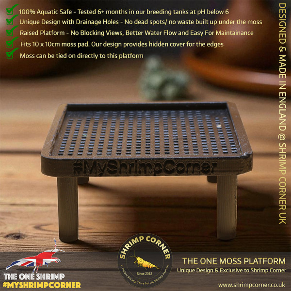 Exclusive Moss Raised Moss Platform - FREE Moss Pad