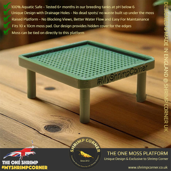 Exclusive Moss Raised Moss Platform - FREE Moss Pad