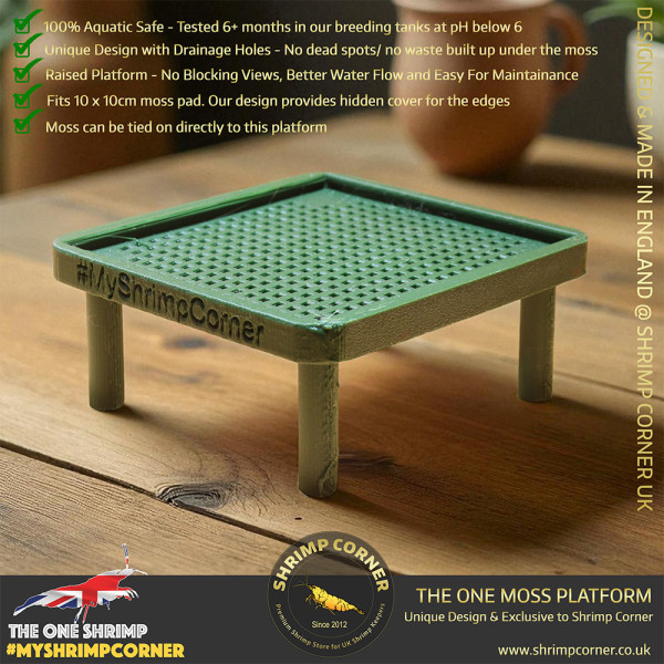 Exclusive Moss Raised Moss Platform - FREE Moss Pad