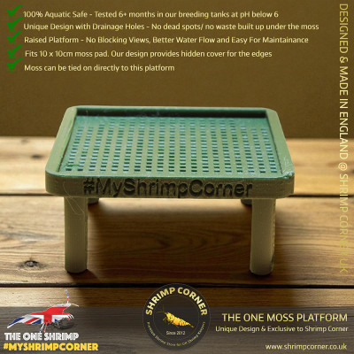 Exclusive Moss Raised Moss Platform - FREE Moss Pad