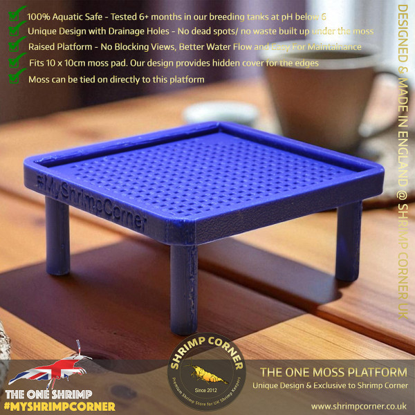 Exclusive Moss Raised Moss Platform - FREE Moss Pad