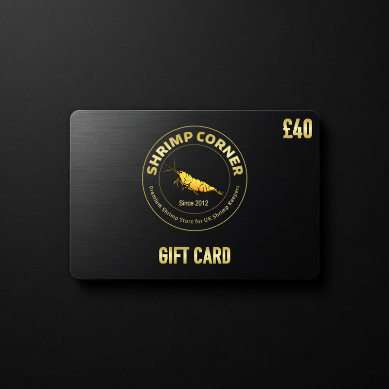 £40 GIFT CARD | Digital Delivery