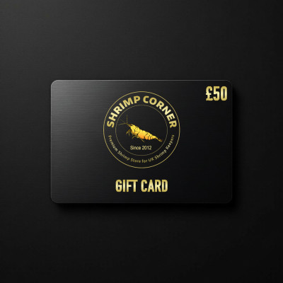 £50 GIFT CARD | Digital Delivery