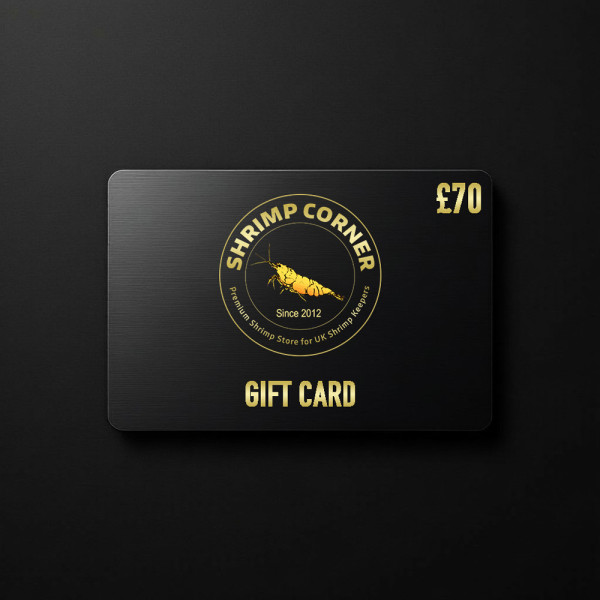 £70 GIFT CARD | Digital Delivery