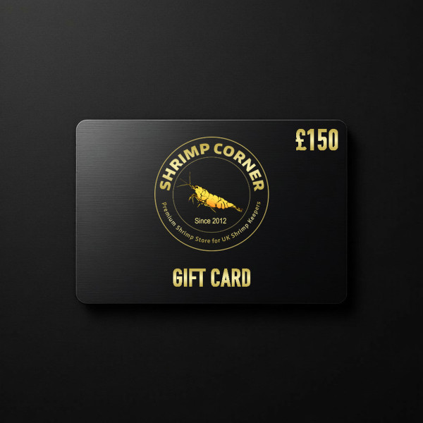 £150 GIFT CARD | Digital Delivery