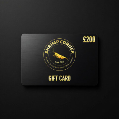 £200 GIFT CARD | Digital Delivery