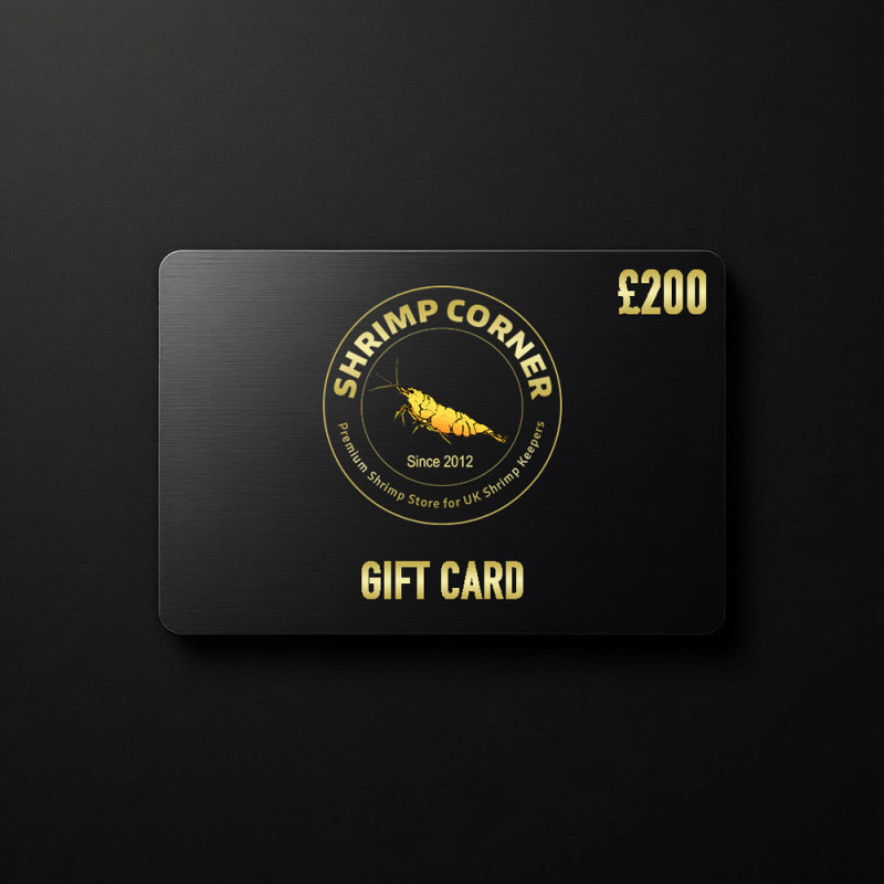 £200 GIFT CARD | Digital Delivery