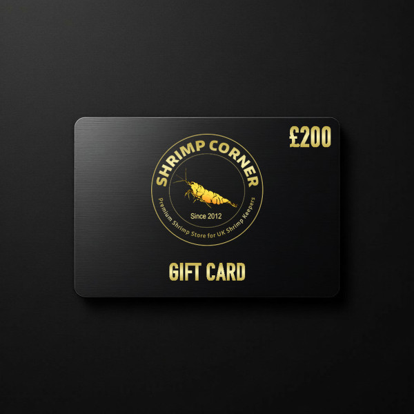 £200 GIFT CARD | Digital Delivery