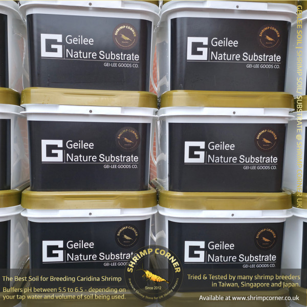 GEILEE SHRIMP SOIL | Best Substrate for Caridina Species