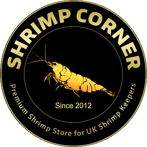 Shrimp Corner UK - The UK's Biggest Online Shrimp Hobby Store